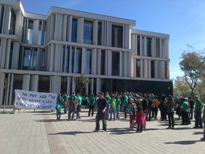 Concentració de la PAH a Sant Boi
