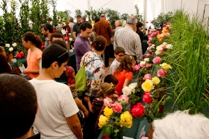 Sant Feliu de Llobregat festeja la primavera