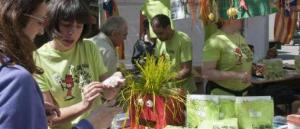 La coalició d’esquerres de Gavà ERC-EV-IxG proposaran que el consistori doni suport a la campanya Somescola.cat