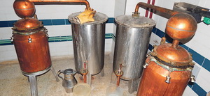 Gin Giró, la ginebra catalana del Baix