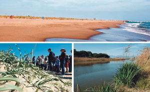 Torna a rodar el Vilabús a la platja de Viladecans