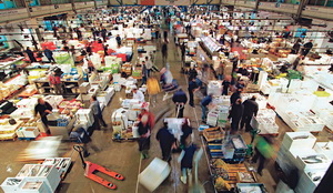 Mercado de pescado de Mercabarna | BCN Content Factory