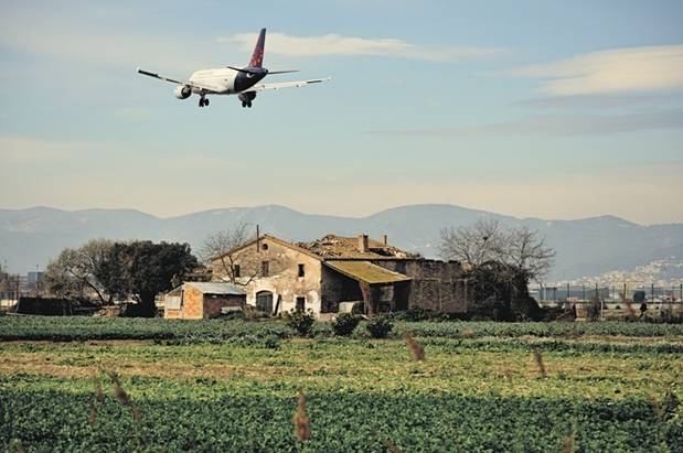 Camps agrícoles del Prat de Llobregat, en el cor del Parc Agrari (Foto: Sergio Crespo)