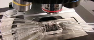 Un nano-chip permitirá detectar el cáncer en sus primeras etapas