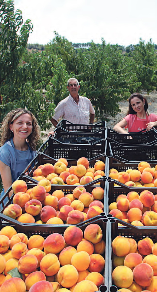 El Parc Agrari La joya agrícola