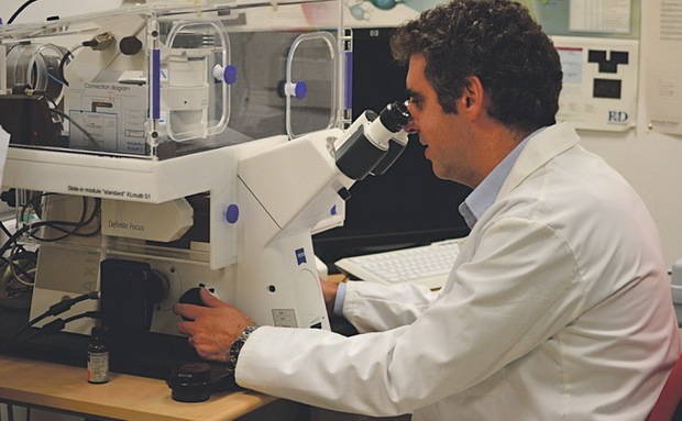 “El Instituto de Investigación Biomédica de Bellvitge está entre los mejores del sur de Europa”