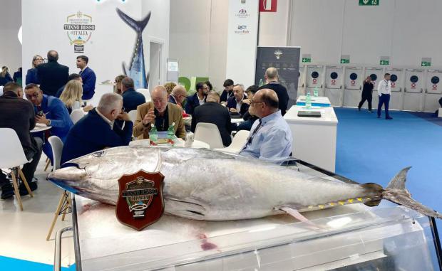 El atún y otros productos pesqueros son muy populares entre muchos clientes de todo el mundo en la Exposición Internacional de Productos del Mar de Barcelona 2025 en España.