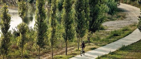 El Baix cuenta ya con 700 km de carril-bici en la arriesgada apuesta por la conexión intermunicipal