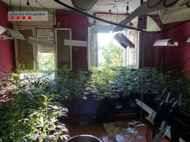 Localizan una plantación de marihuana en un piso del Prat incendiado donde vivía una familia con seis menores