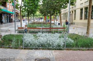 Cornellà se transforma en una ciudad verde y sostenible con el proyecto Cornellà Natura