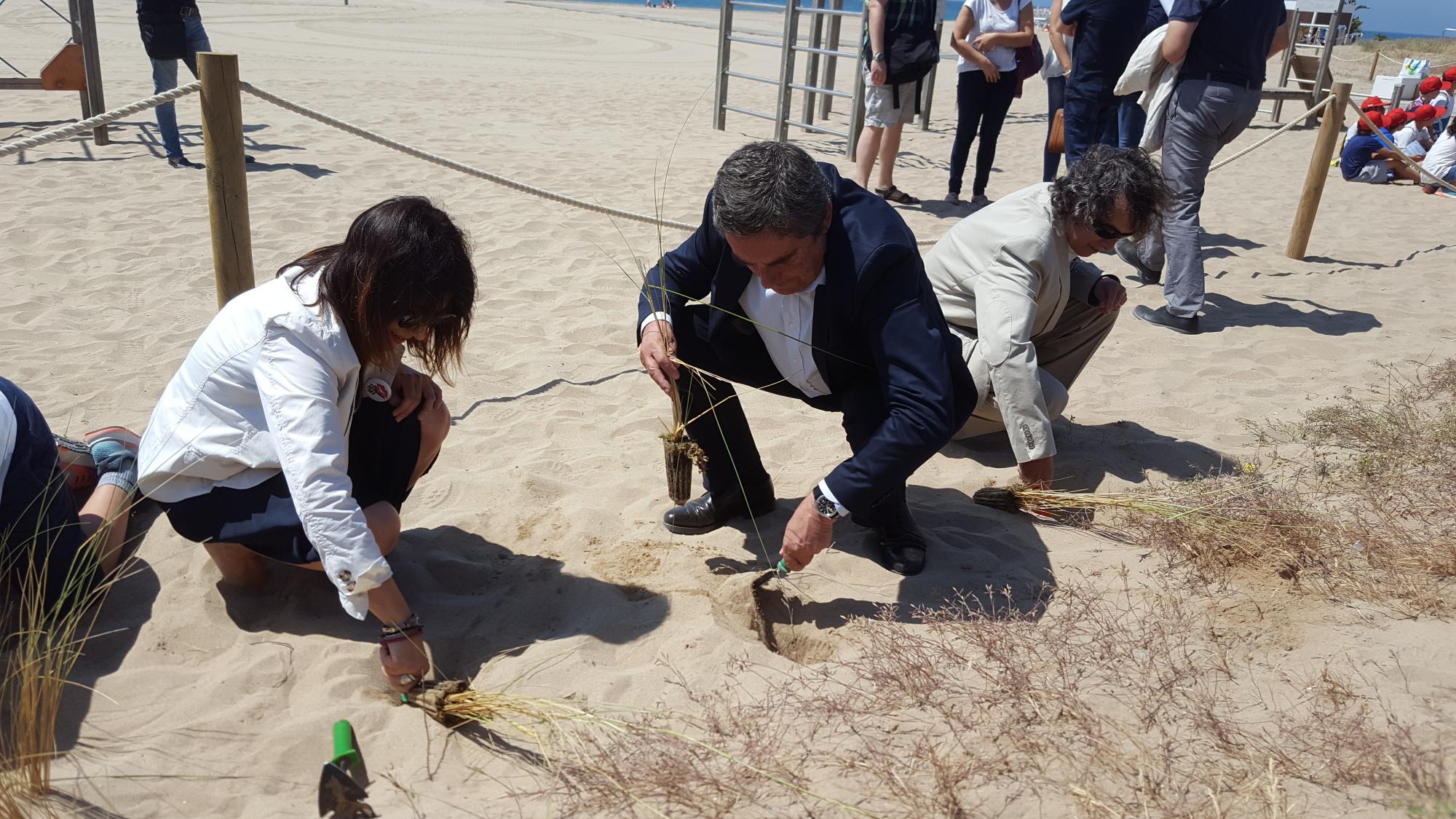AMB alerta que podríem perdre la meitat de les platges metropolitanes
