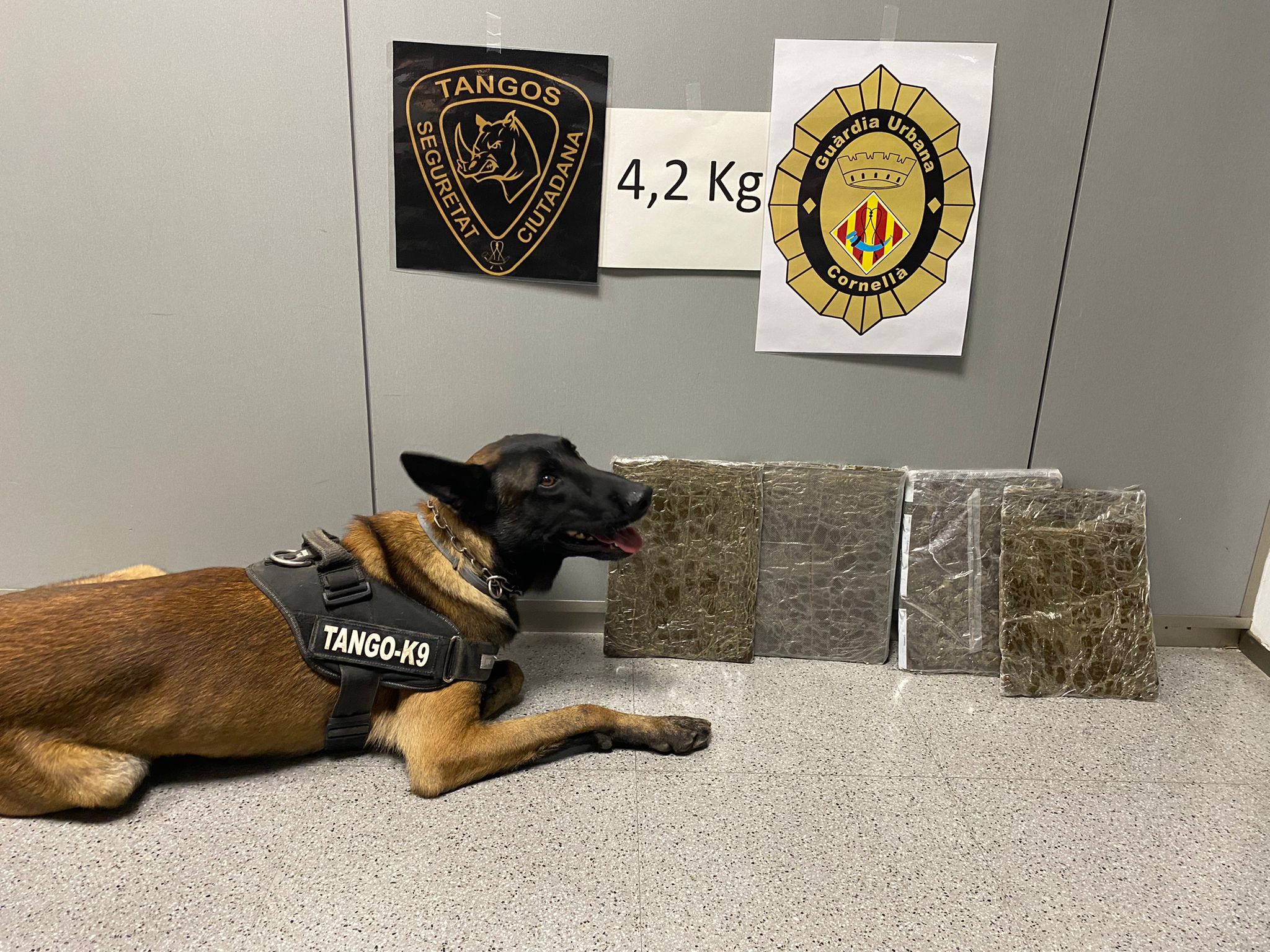 La Guàrdia Urbana de Cornellà confisca más de 4 kg de hachís en un accidente de tráfico