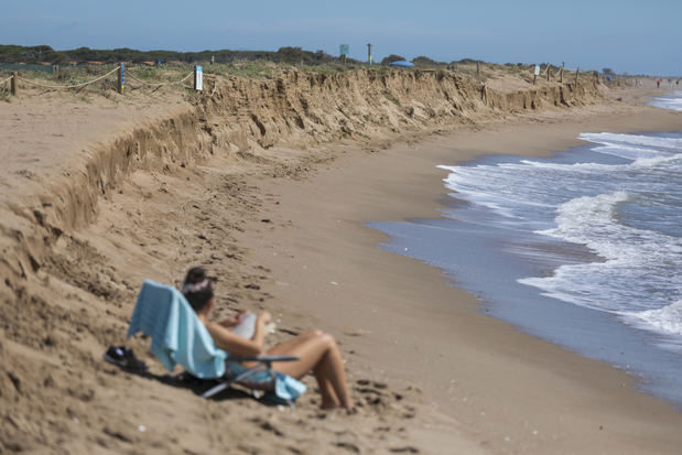La borrasca Nelson arrasa las playas del Delta del Llobregat y la erosión de la costa va a peor