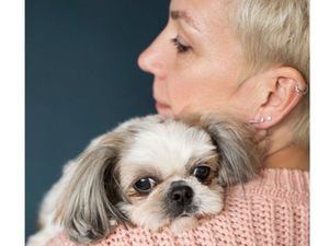 Cornellà se une al proyecto Viopet para combatir la violencia machista