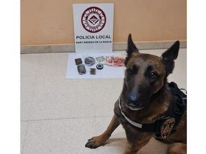 La Unidad Canina se lleva los honores con la detención de un hombre acusado de tráfico de drogas