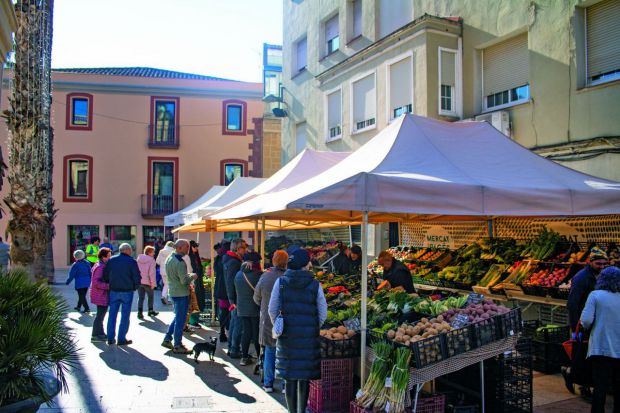 HACE SOLO SEIS AÑOS, EN EL PRAT HABÍA ÚNICAMENTE DOS AGROTIENDAS, AHORA HAY ALREDEDOR DE NUEVE, POR EL AUMENTO DE LA DEMANDA. EN LA FOTO: MERCAT SEMANAL DE PAGÈS DE GAVÀ. (FOTO: JOSÉ BARBERO)