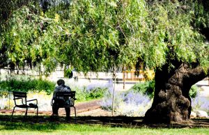 Activada la alerta por ola de calor durante cuatro días