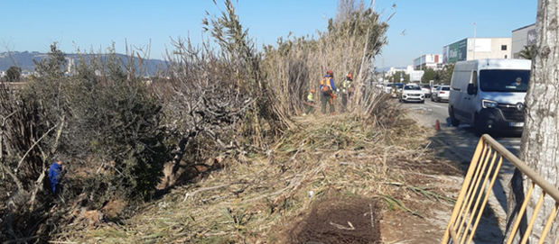 Sant Feliu termina los trabajos de mejora y mantenimiento en el Parc Agrari