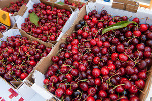 Sant Climent celebra la 42ª Exposición de Cerezas