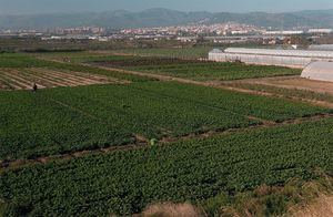 El espacio protegido del Parc Agrari del Baix Llobregat.