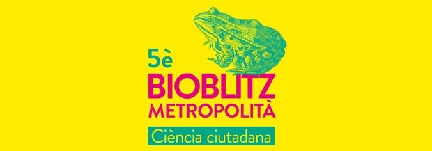 El Bioblitz Metropolità anima a fotografiar la fauna y la flora de la playa de Gavà