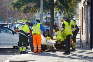 Sant Boi planta 840 árboles en espacios públicos de la ciudad