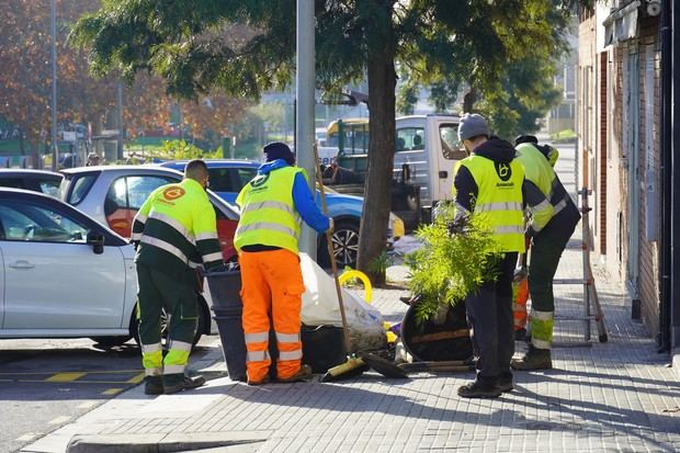 Sant Boi planta 840 árboles en espacios públicos de la ciudad