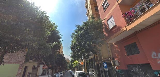 Un tramo de la calle Doctor Martí i Julià donde talarán árboles la semana que viene.