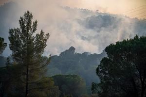 Castellví busca a los propietarios de las fincas arrasadas por el incendio forestal de Valldaina