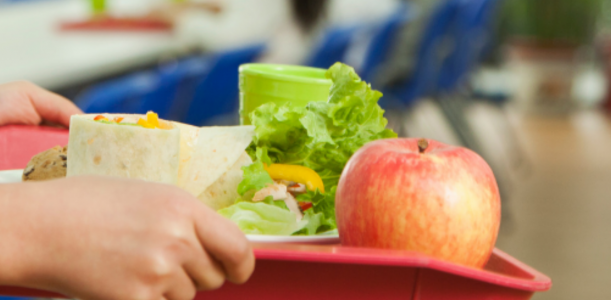 El Consell Comarcal aprueba nuevas ayudas individuales de comedores escolares