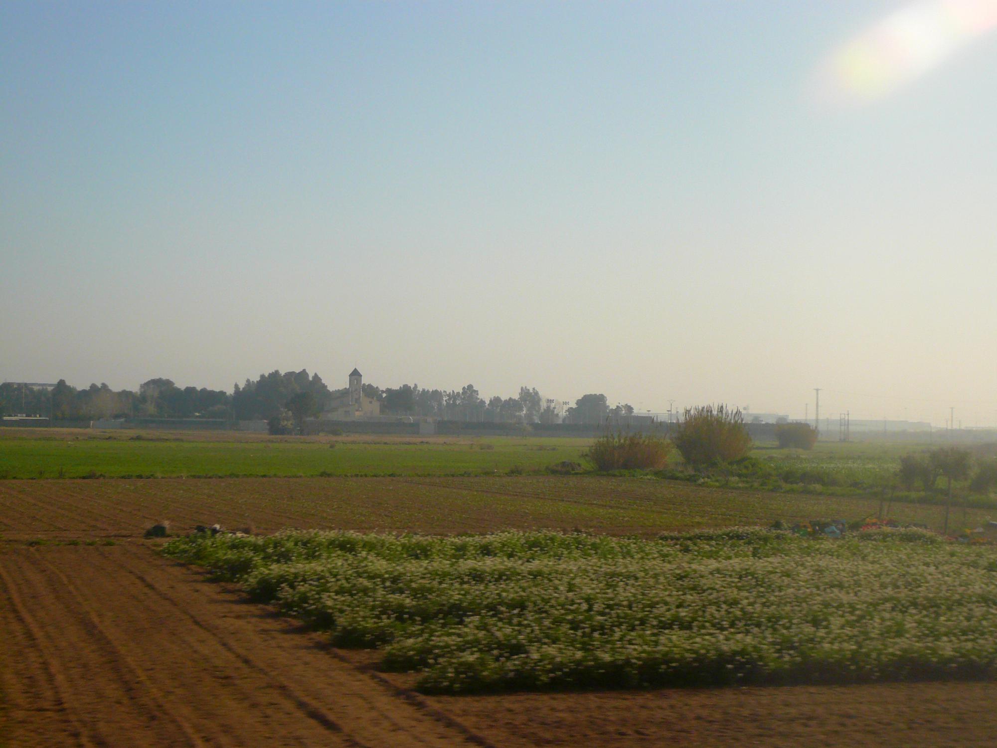 Aprovat el Pla Director Urbanístic del Delta