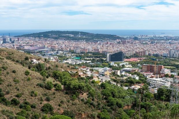 Collserola se convierte en un laboratorio para la adaptación de los bosques a los retos climáticos