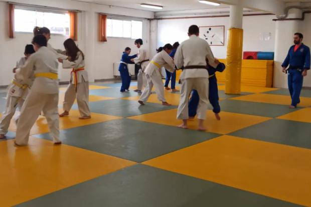 Deportistas practicando Nihon Tai-jitsu