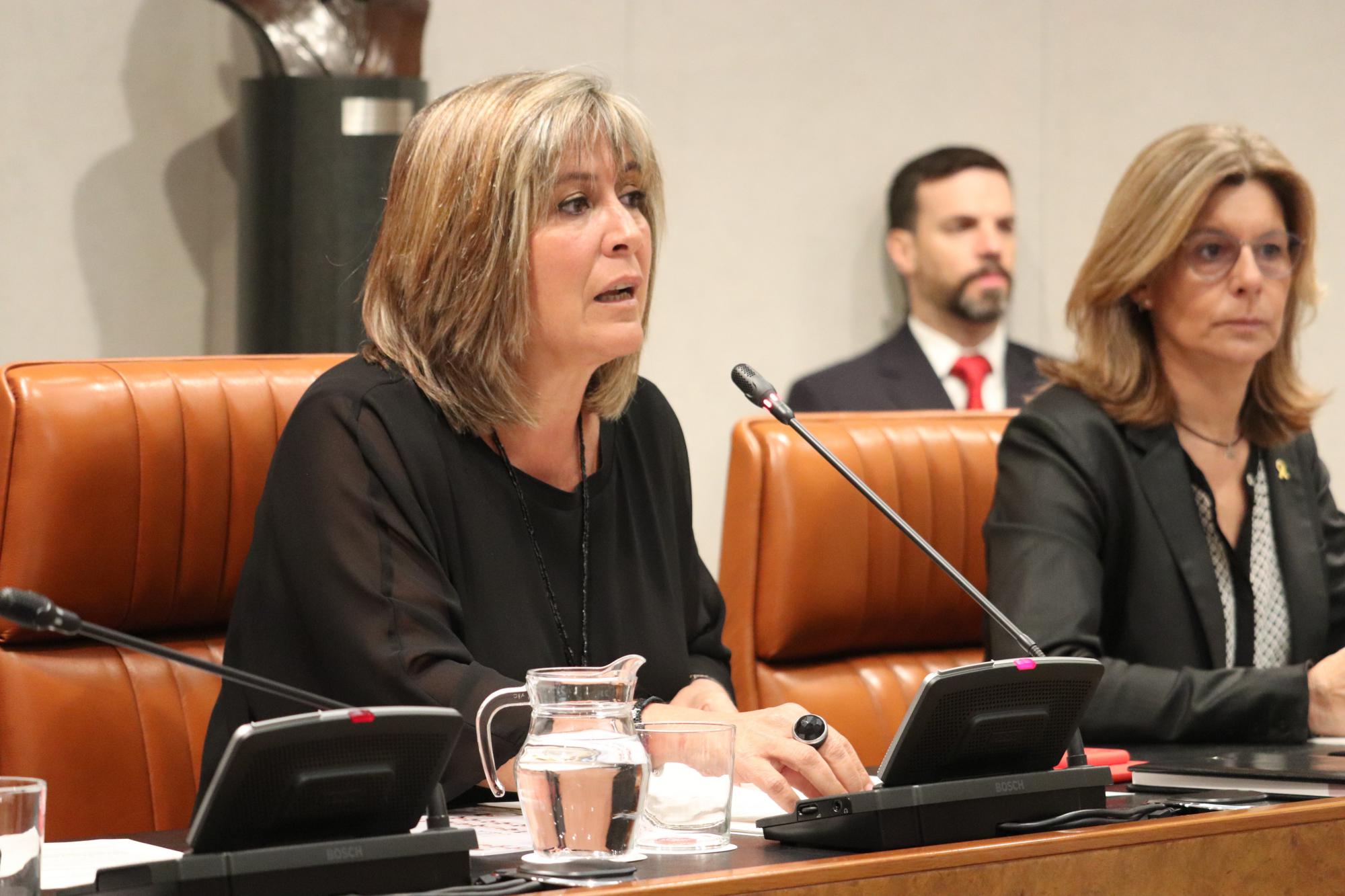 La Diputación pide la amnistía de los condenados por el 1 de octubre
