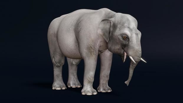 Representación digital de la cría de elefante de la exposición