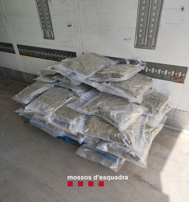 Detenidos por intentar transportar 233kg de marihuana camuflada en sacos de corteza de árbol