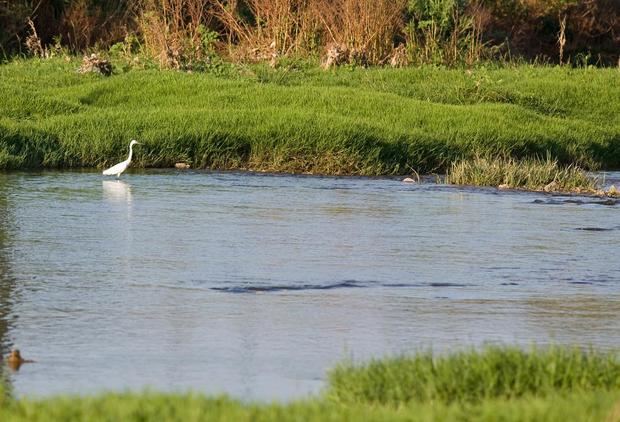 Entre la batalla per la municipalització i la lluita contra la contaminació de l’aigua