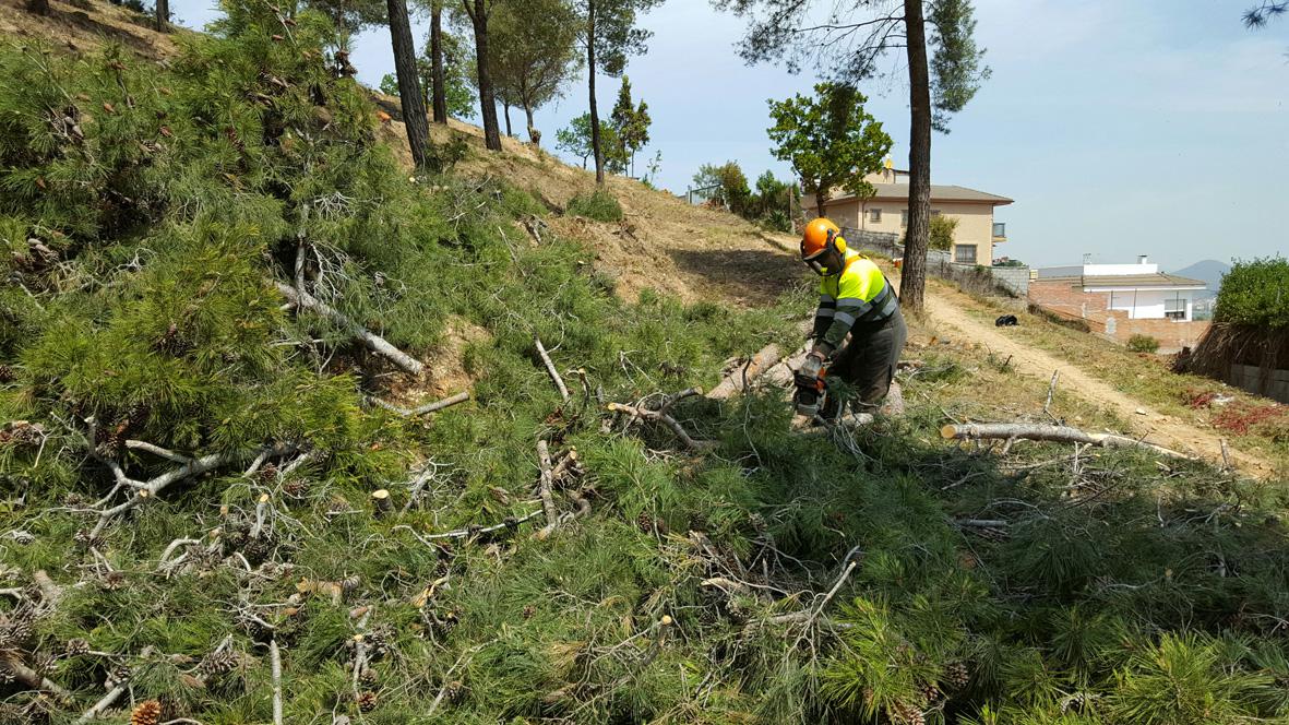 La Diputació reforça les mesures d’autoprotecció en urbanitzacions contra incendis forestals