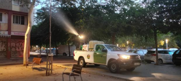 El Ayuntamiento ha realizado un tratamiento aéreo contra la galeruca del olmo, con el fin de controlar los niveles de plaga de este escarabajo (FOTO: Aj. de L’Hospitalet de Llobregat).