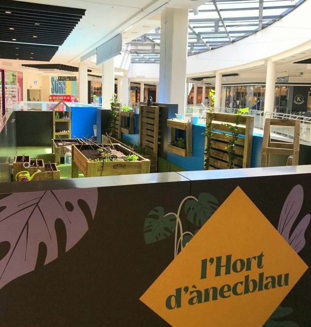 El centro comercial Ànecblau inaugura un huerto para acercar la sostenibilidad a las familias