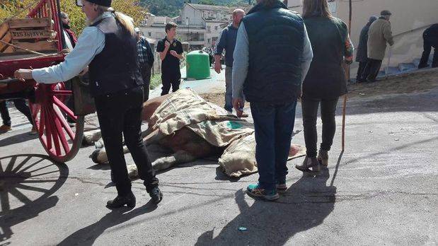 Dues persones ferides i la mort d'un dels cavalls obliga a suspendre els Tres Tombs de Torrelles