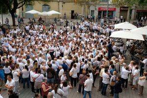 La minoritaria marea blanca