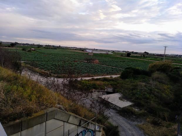 Tierras cercanas a la Cooperativa Agrària Santboiana.