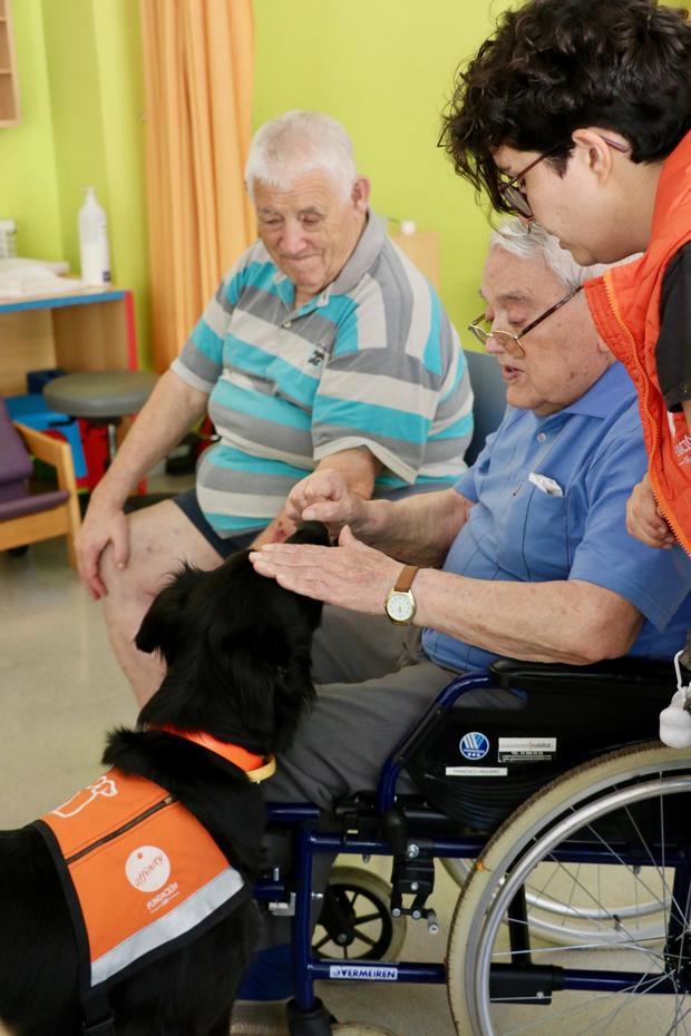 Los perros ayudan en terapias con gente mayor.