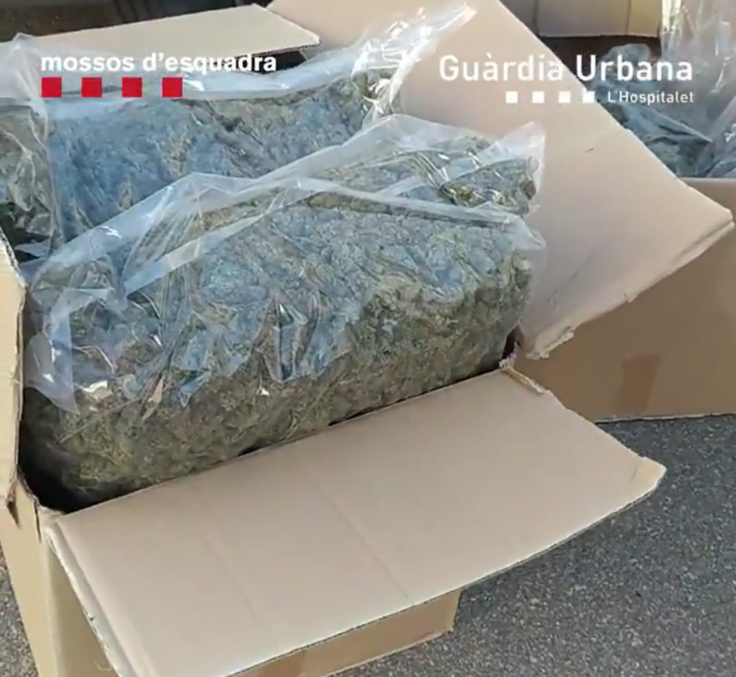 Prisión para un hombre en L'Hospitalet tras ser detenido con 16 kg de marihuana en el coche