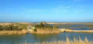 Marismas del Delta del Ebro (Foto: @Onlyreflex)
