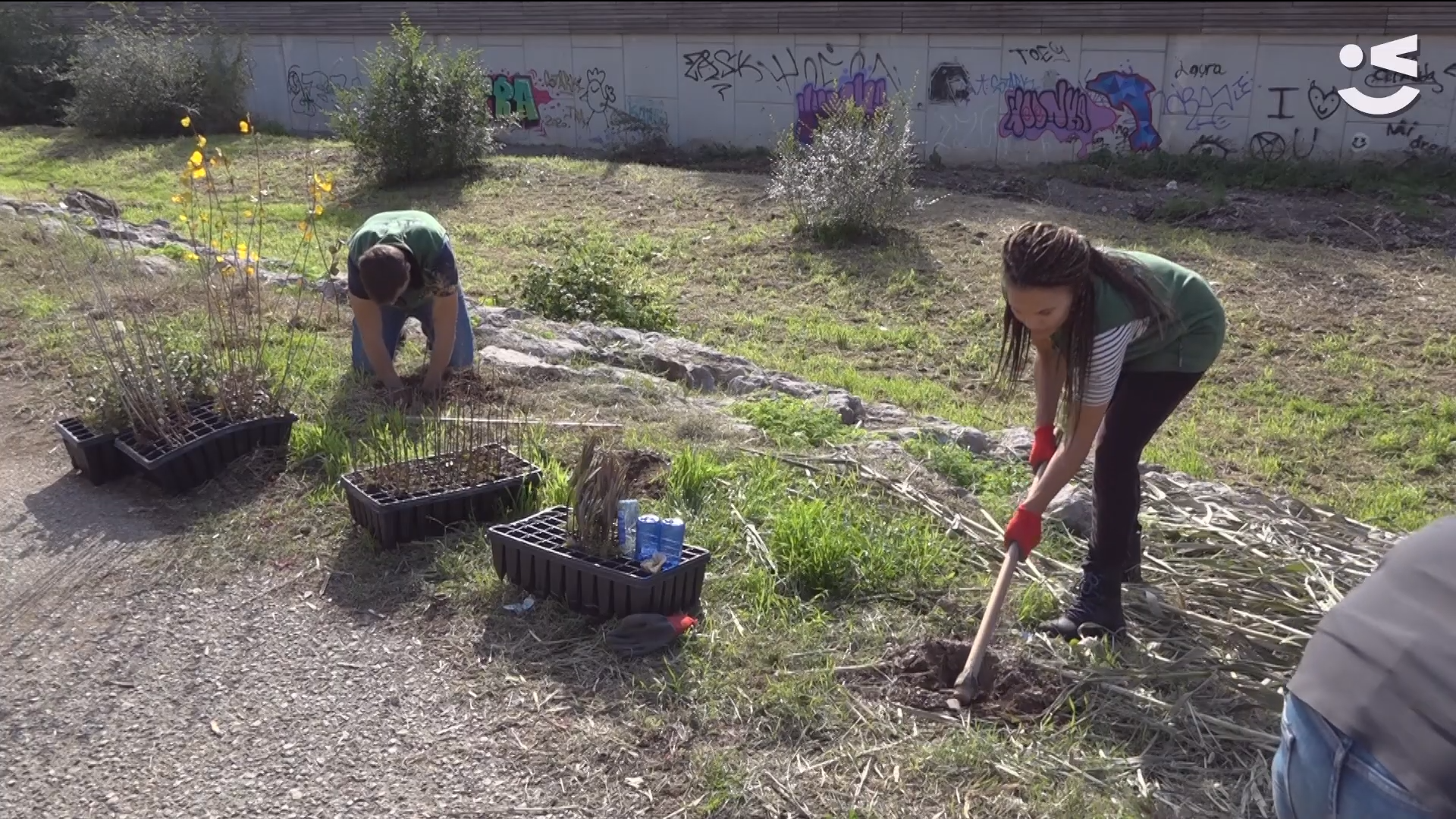 Viladecans se naturaliza con la plantación de más de 500 árboles