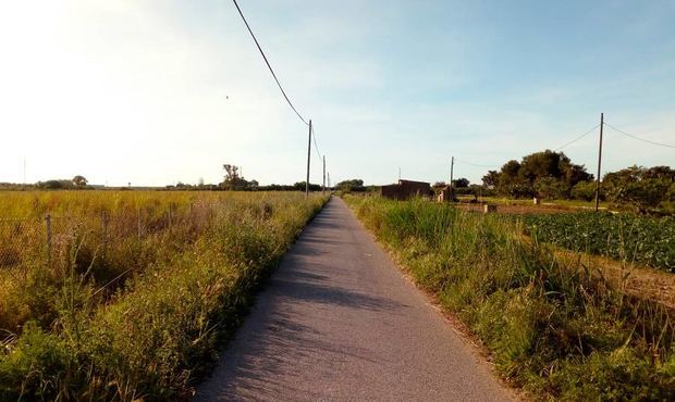 El Parc Agrari reivindica “inversiones urgentes” para garantizar su supervivencia tras la pandemia de Covid-19