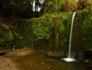 Descubre las propuestas para mejorar el Parc de Collserola, el auténtico pulmón verde metropolitano