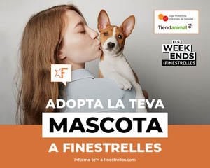 Finestrelles organiza un acto para perros sin hogar